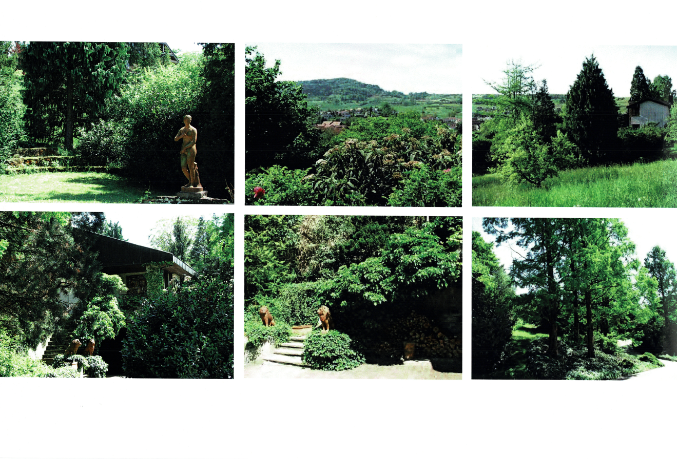 Bestand: Villa & Park