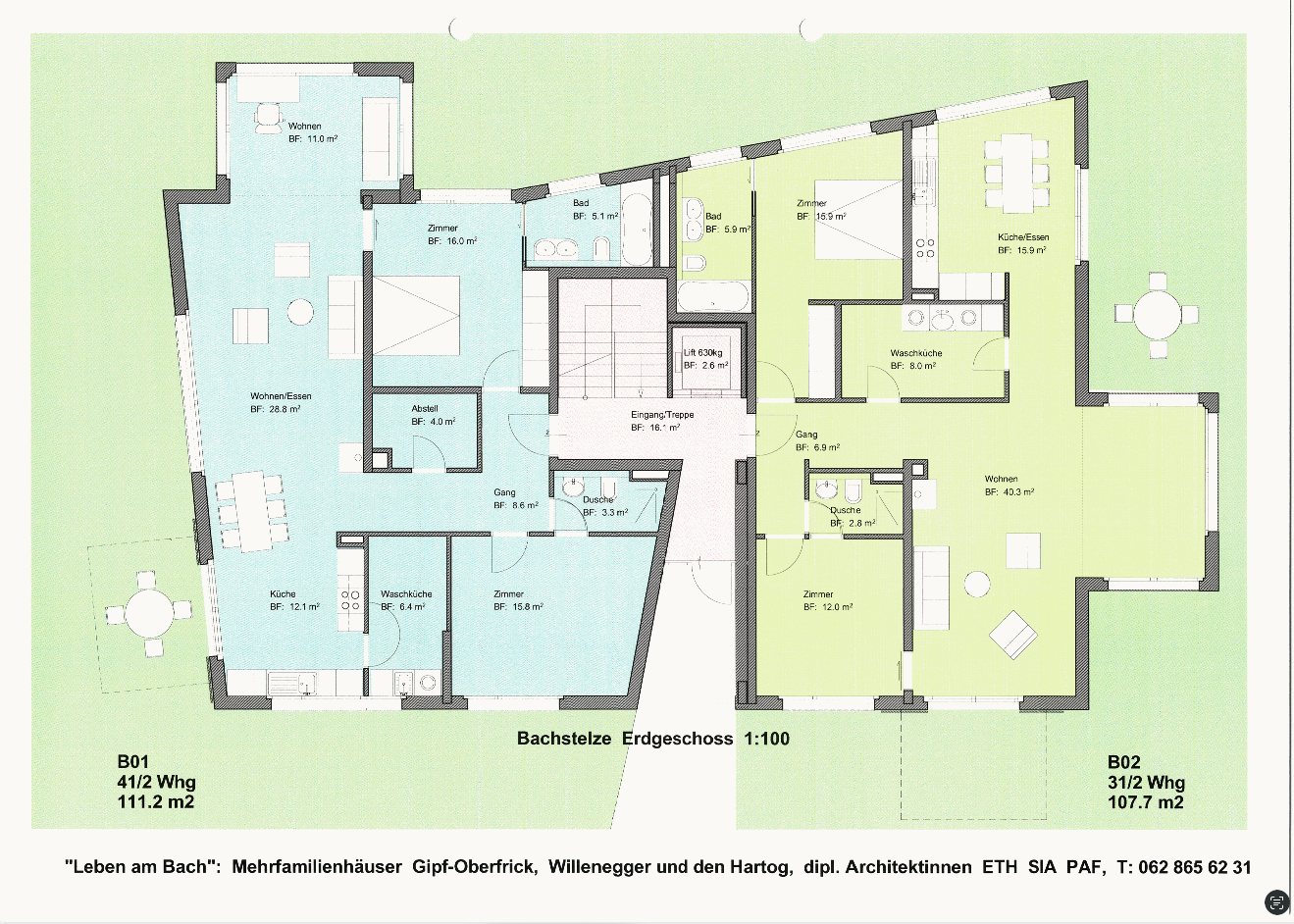 Bachstelze