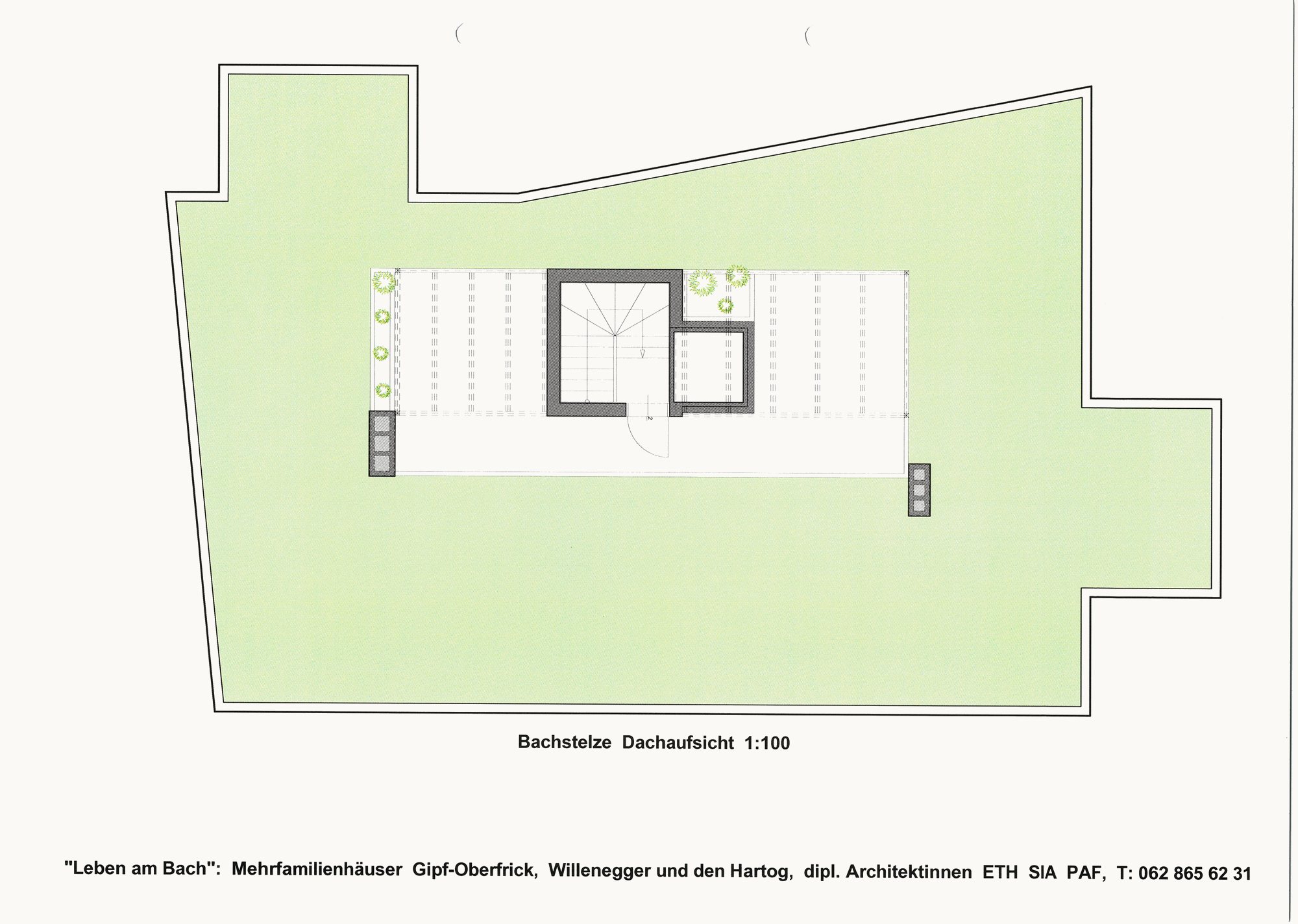 Bachstelze