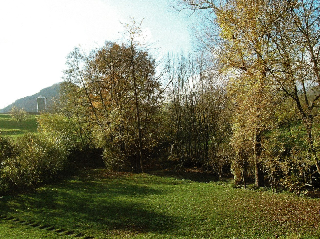 Maigrund Doku